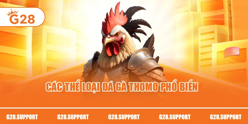 Các thể loại đá gà Thomo phổ biến
